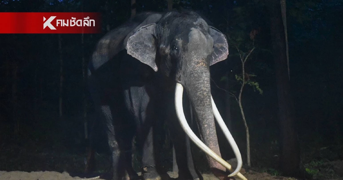 "ช้างป่า" ขยี้ร่างชาวบ้านดับคาป่าสวนยาง ก่อนลากหายเข้าเขตอุทยานฯ