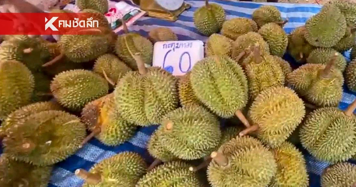 ส่องตลาดสุรินทร์! แม่ค้าจัดให้ทุเรียนราคาถูก ลูกละ 60-80 บาท
