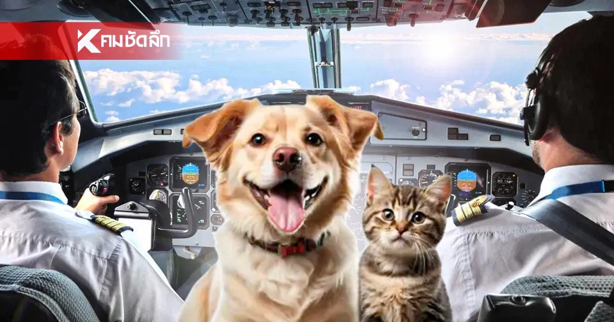 สหรัฐฯ สั่งสอบนักบิน ดัดนิสัยขี้เล่นส่งเสียง "เมี๊ยว-โฮ่ง"  ป่วนหอบังคับการบิน