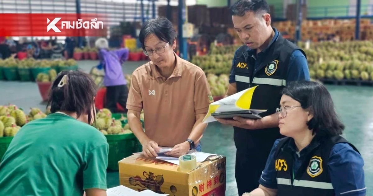 สอบเข้ม! "ทุเรียนลม" หลุดไปตลาดจีน สั่งฟันเด็ดขาด หากพบล้งสวมสิทธิ์