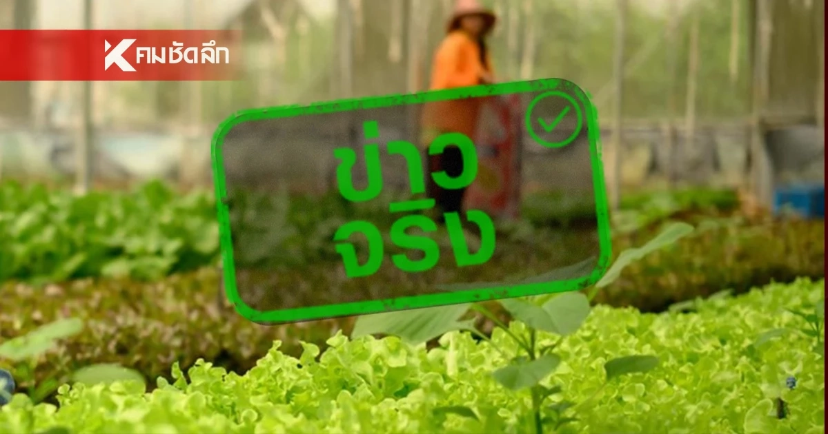 เกาหลีใต้ ขึ้นบัญชีดำ 4 จังหวัดของไทย ห้ามนำเข้าแรงงาน วีซ่า E-8 ตลอดปี 2569
