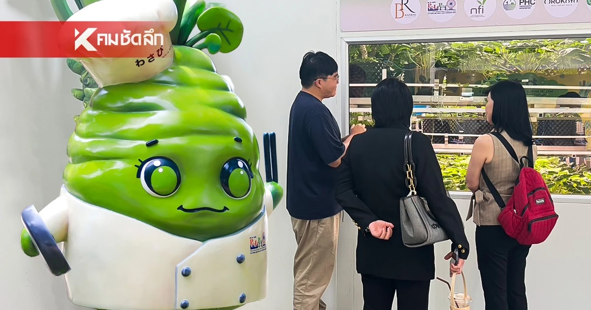 บุกบุรีรัมย์ ‘วาซาบิ เวิลด์’ เปิดมิติใหม่ท่องเที่ยวเชิงเกษตร บุกบุรีรัมย์ ‘วาซาบิ เวิลด์’ เปิดมิติใหม่ท่องเที่ยวเชิงเกษตร