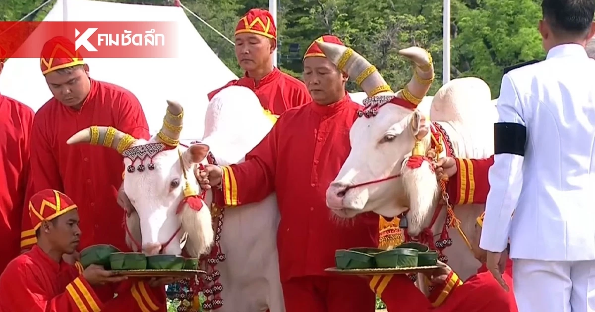 เปิดคำพยากรณ์ "วันพืชมงคล 2569"  ผลเสี่ยงทายพระโค-ผ้านุ่งพระยาแรกนา