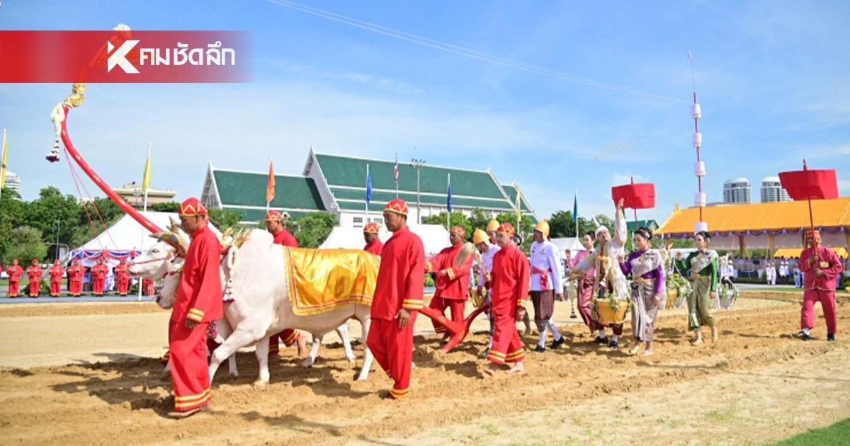 "วันพืชมงคล 2569" ตรงกับวันไหน เปิดที่มาพระราชพิธีสำคัญ พระยาแรกนา