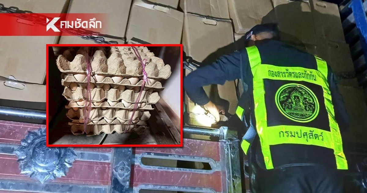 ปศุสัตว์ สกัดจับ ไข่ไก่ต้องสงสัย ที่ลักลอบนำเข้ากว่า 1.8 แสนฟอง
