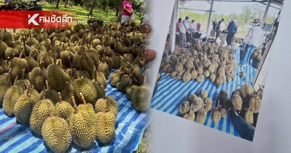 ชาวสวนทุเรียน ปราจีนฯ ยื่นหลักฐานโต้ "อินฟลูฯ ดัง" ปมดราม่าไม่ตรงปก
