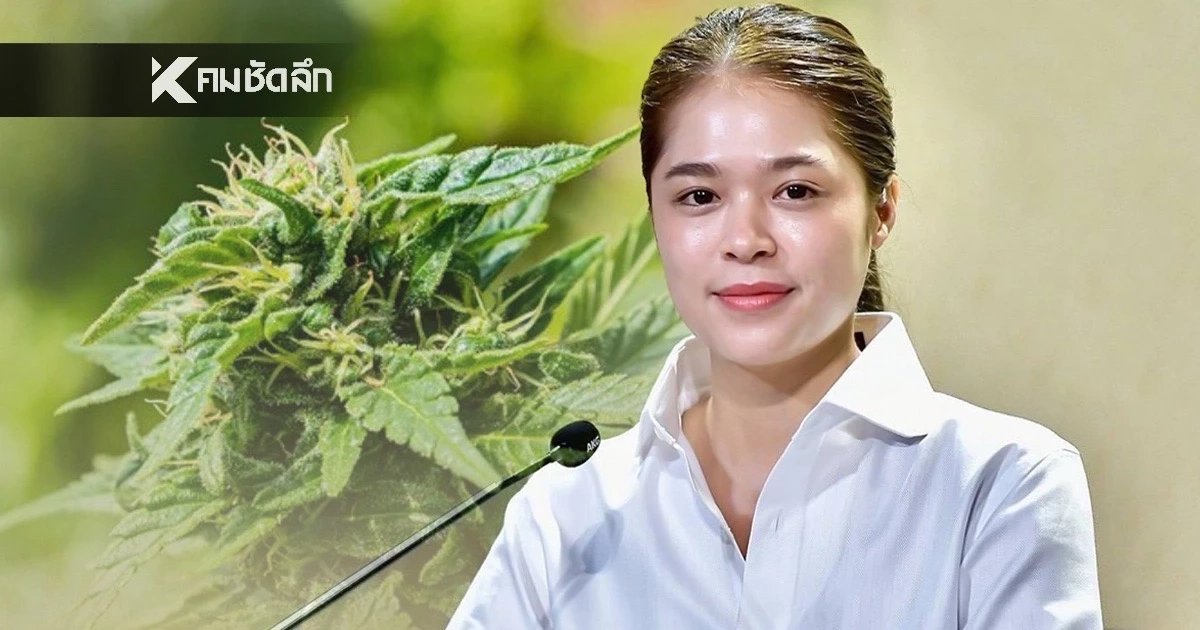 ปชช. ร่วมกำหนดทิศทาง กฎหมายกัญชา-กัญชง ผ่านออนไลน์ ได้ถึงวันที่ 1 ก.ค.69