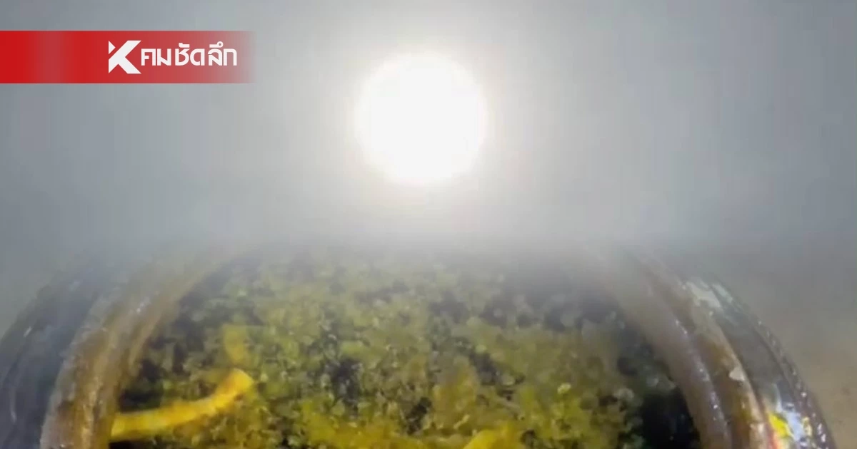 แห่ส่องเลขเด็ดพิธีใหญ่ "จันทร์ซ้อนจันทร์" นกบินล้อมร้องระงม