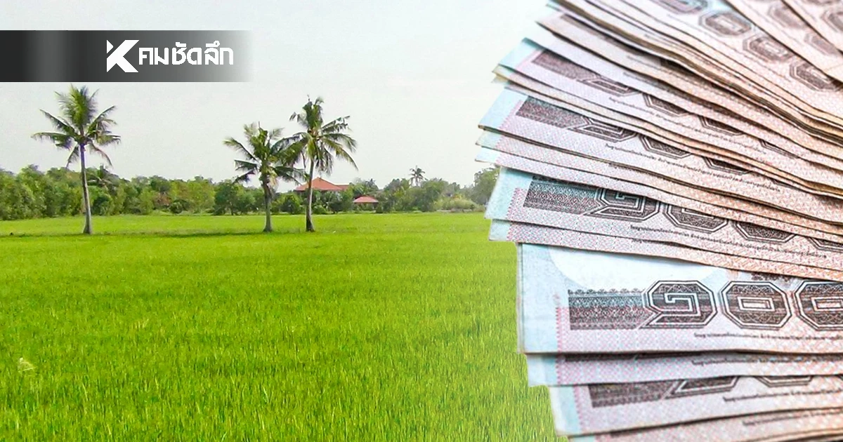 ตรวจสอบสถานะ เงินช่วยเหลือชาวนา เงินช่วยเกษตรกร ไร่ละ 1,000 บาท ล่าสุด