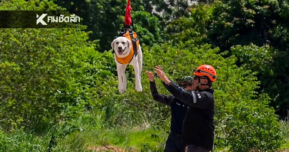 K9 USAR THAILAND จับมือ ทหารพัฒนา ฝึกร่วม "โดรน" ลุยพื้นที่เข้าถึงยาก