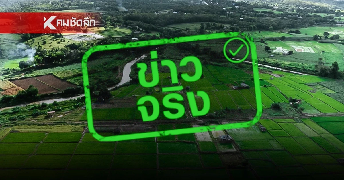 ข่าวจริง! เกษตรกร มีที่นาเกิน 10 ไร่ อดรับสิทธิ บัตรสวัสดิการแห่งรัฐ 2569