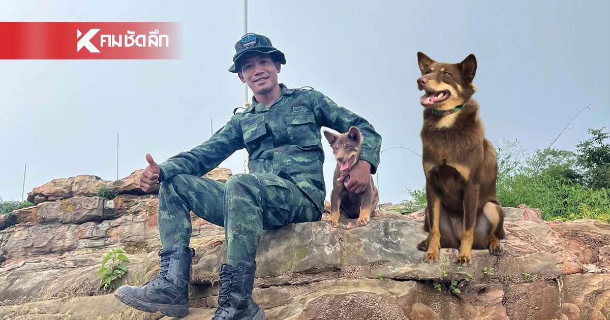 "น้องมะลิ" สุนัขคู่ใจ "จ่ามิน" วีรบุรุษแห่งภูมะเขือ เข้าฝึกปรับพื้นฐาน