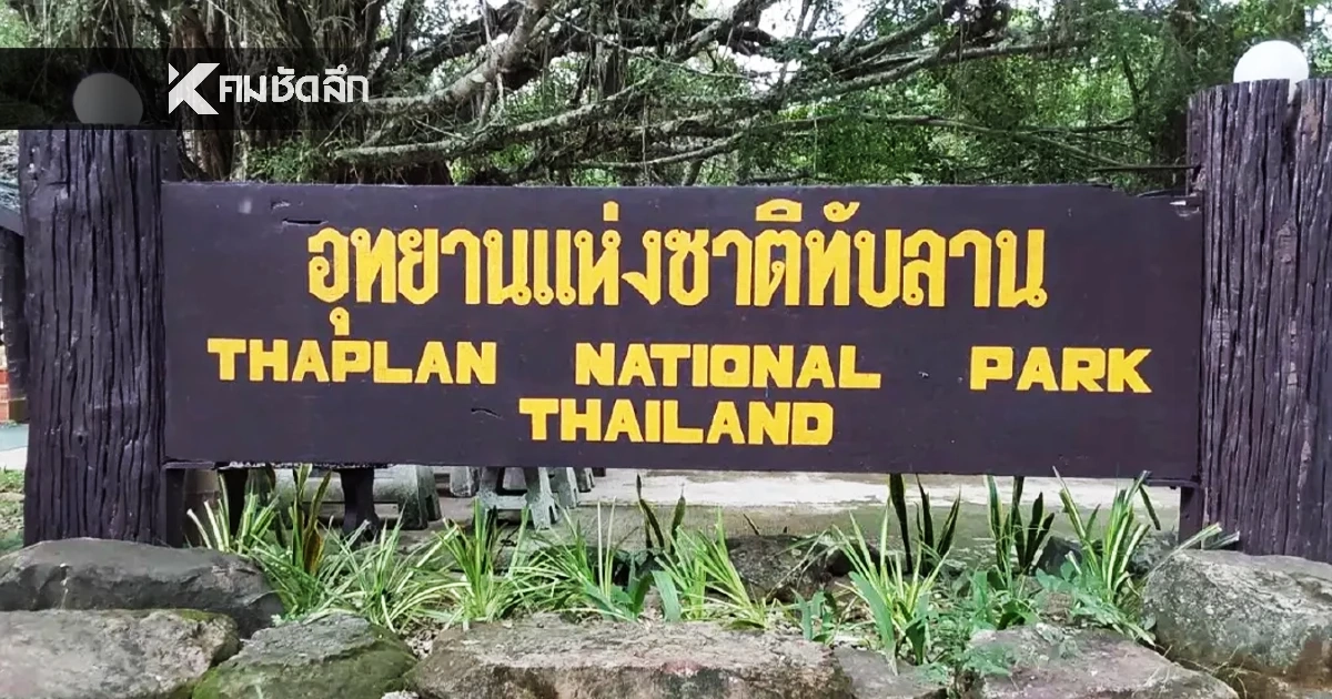 เช็กบิลทุนฮุบป่า! รัฐบาลสั่งผ่าแผนเด็ด "ทับลาน" ผ่าพิสูจน์สิทธิรายแปลง