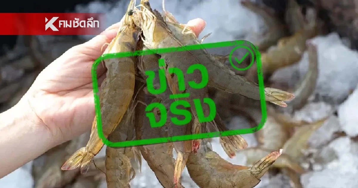 ข่าวจริง! ตลาดกุ้งไทย เตรียมกลับมาส่งออกมาเลเซีย ได้ตามปกติ