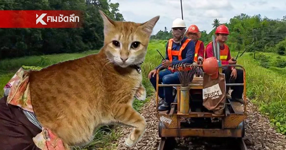 การรถไฟฯ เร่งปูพรมค้นหา “น้องสีส้ม” แมวพิการขาหลังทั้งสองข้าง สูญหายระหว่างทาง