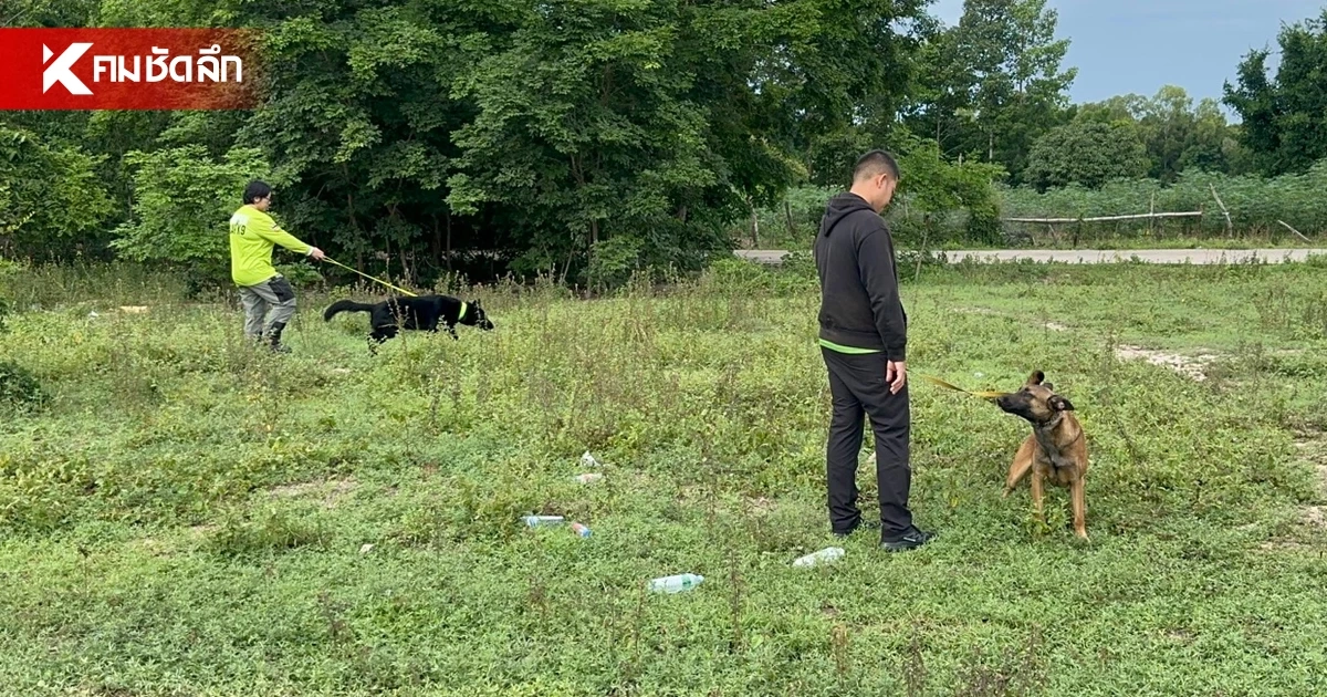 ระดม K-9 ปูพรมค้นหา สองพี่น้องชาวรัสเซีย บริเวณบ้านร้าง-อ่างเก็บน้ำมาบฟักทอง 1 ระดม K-9 ปูพรมค้นหา สองพี่น้องชาวรัสเซีย บริเวณบ้านร้าง-อ่างเก็บน้ำมาบฟักทอง 1