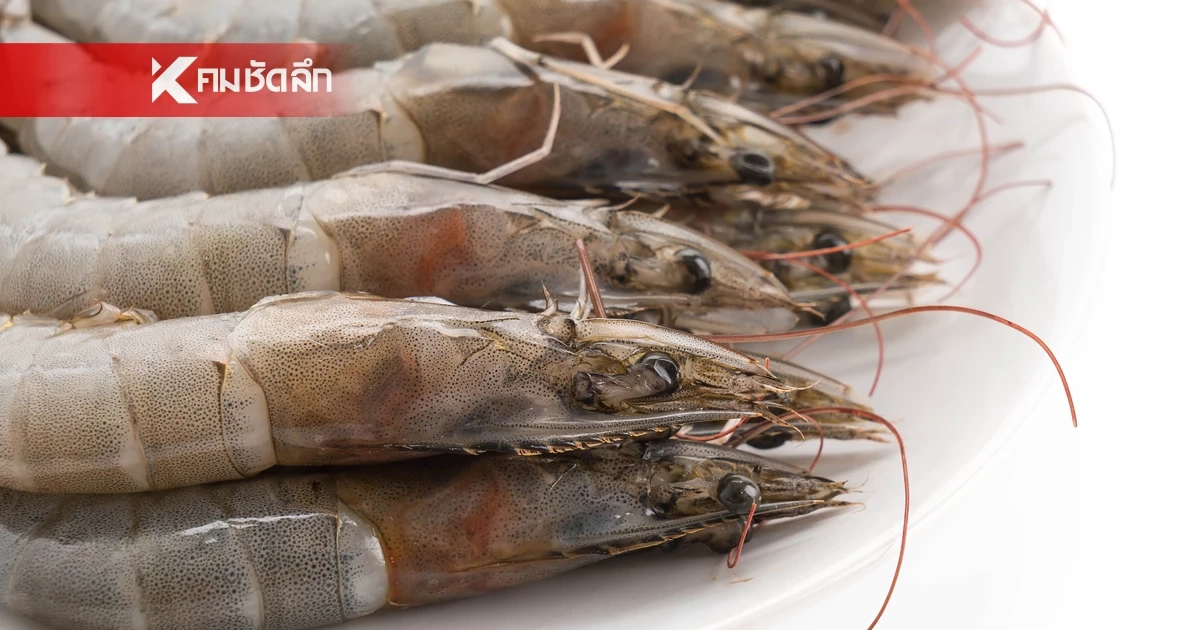 ข่าวดี! นายกฯ เผย กุ้งไทย คาดส่งออกไปมาเลเซีย ได้ภายใน 30 วัน