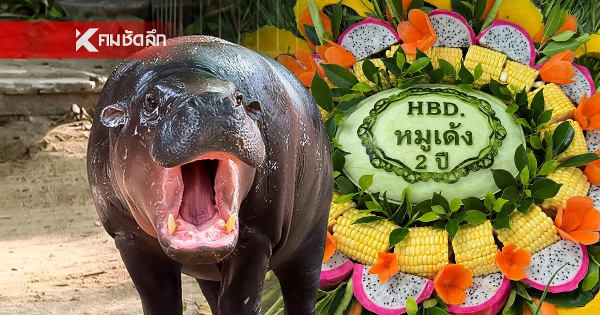 สวนสัตว์เปิดเขาเขียว ชวนฉลองวันเกิด 2 ปี “หมูเด้ง HAPPY เด้ง DAY”