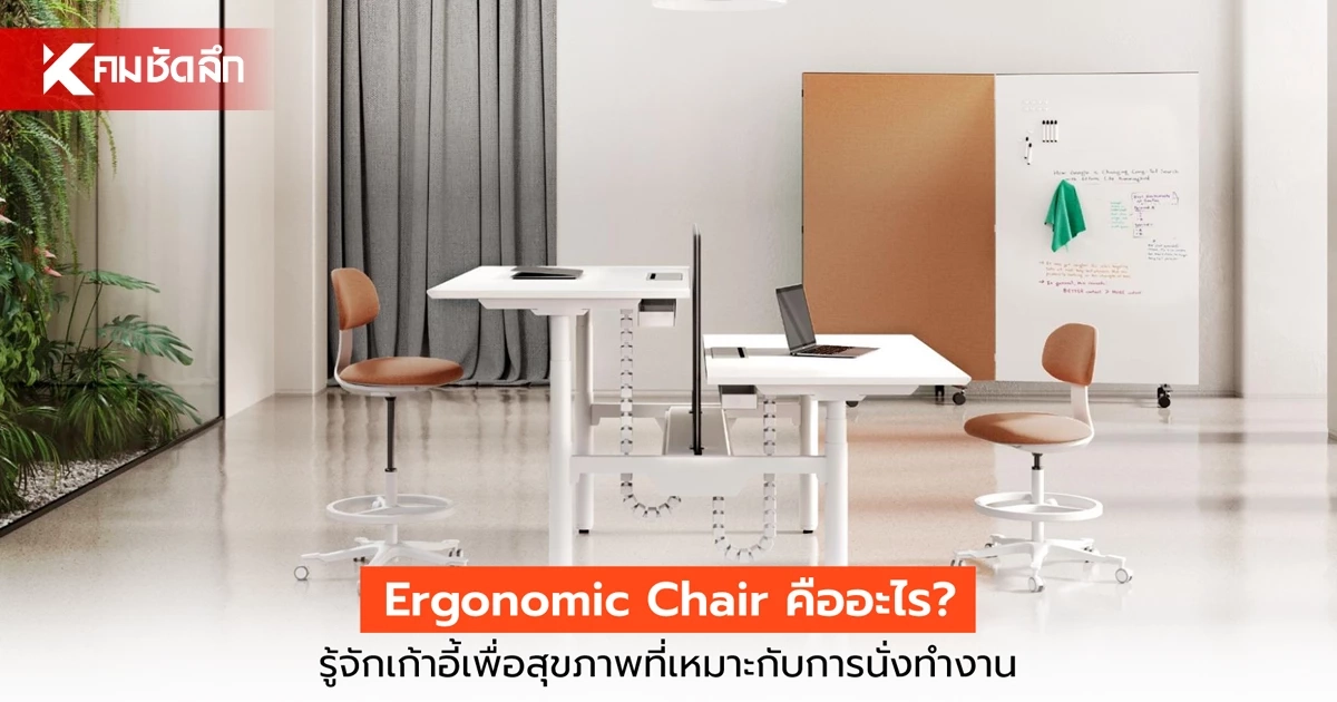 Ergonomic Chair คืออะไร? รู้จัก เก้าอี้เพื่อสุขภาพ ที่เหมาะกับการนั่งทำงาน