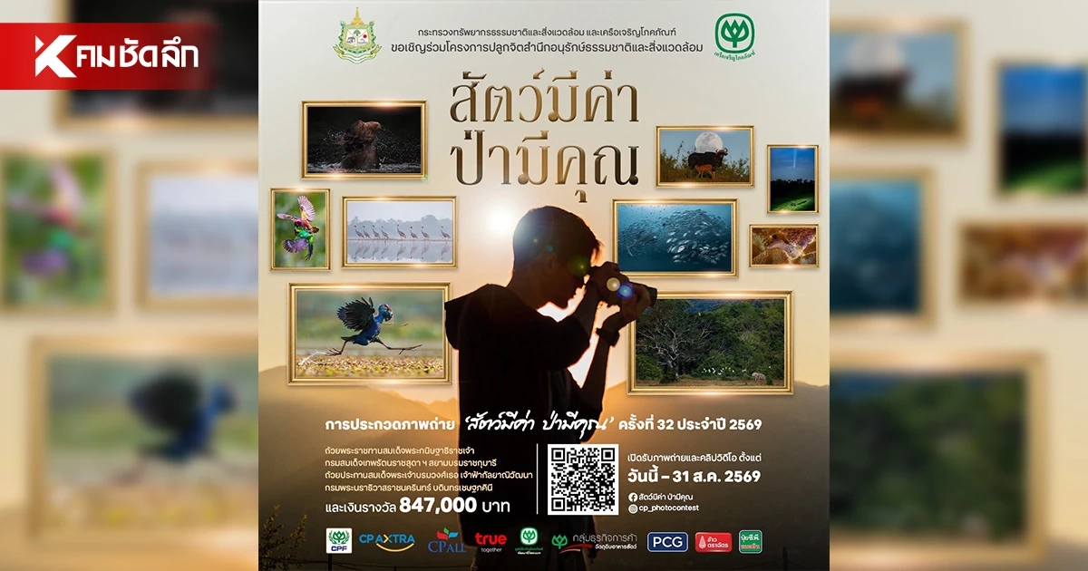 สานต่อปีที่ 32! ประกวดภาพถ่าย “สัตว์มีค่า ป่ามีคุณ” 2569 ชิงถ้วยพระราชทานฯ-เงินแสน สานต่อปีที่ 32! ประกวดภาพถ่าย “สัตว์มีค่า ป่ามีคุณ” 2569 ชิงถ้วยพระราชทานฯ-เงินแสน
