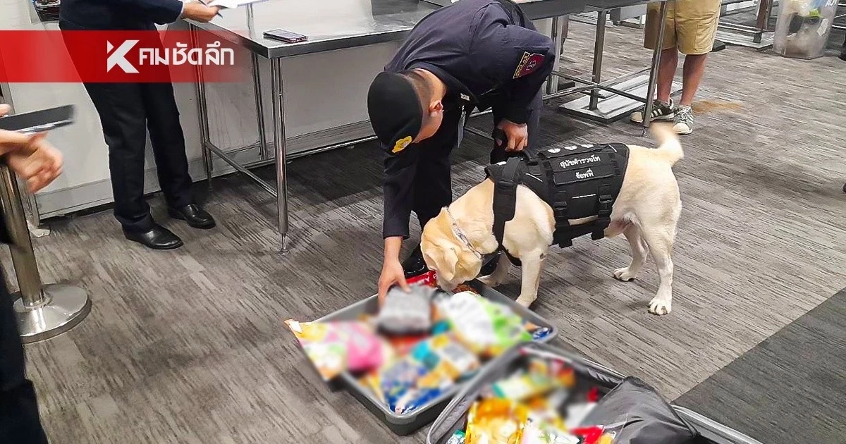 บก.สปพ. นำสุนัขตำรวจ K9 ตรวจค้นสัมภาระ ประเดิมไฟลต์แรกเมลเบิร์น บก.สปพ. นำสุนัขตำรวจ K9 ตรวจค้นสัมภาระ ประเดิมไฟลต์แรกเมลเบิร์น