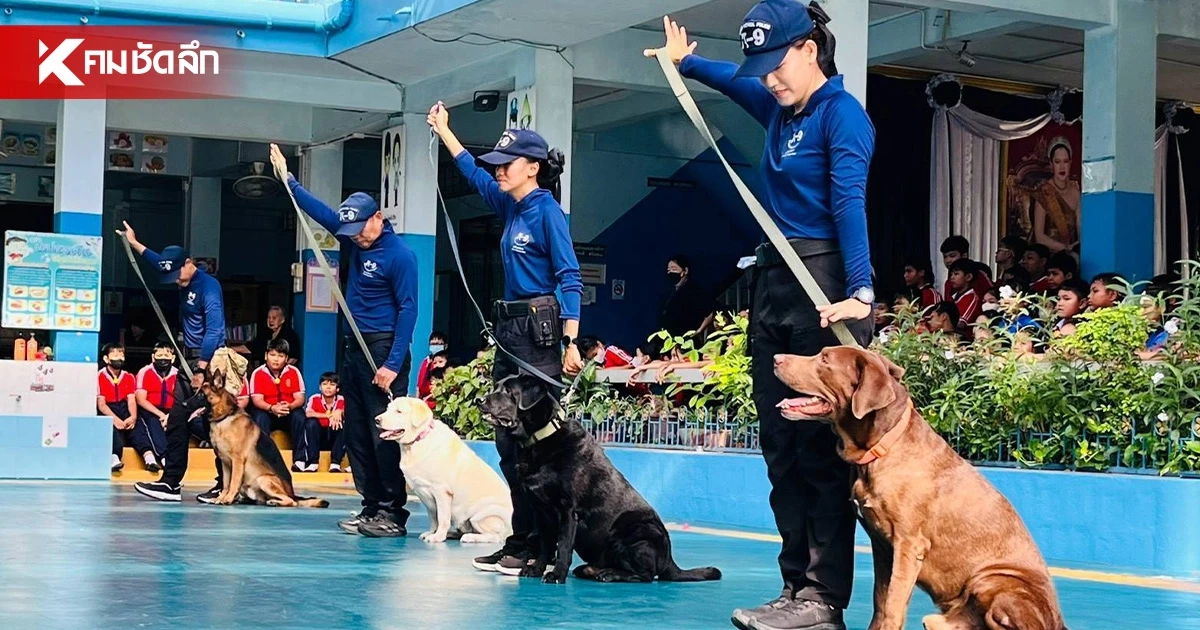 ตชด. นำครูฝึก-สุนัขตำรวจ สาธิตภารกิจ เปิดการเรียนรู้นอกห้องเรียน ตชด. นำครูฝึก-สุนัขตำรวจ สาธิตภารกิจ เปิดการเรียนรู้นอกห้องเรียน