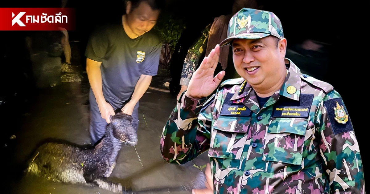 ซึ้งน้ำใจ! "บิ๊กสวนสยาม" ต่อสายขอบคุณ "สุชาติ" ช่วยชีวิต 13 กวางแช่น้ำท่วม
