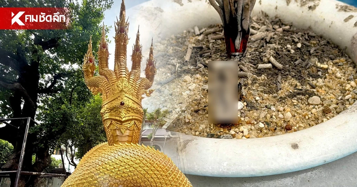 ส่องเลขธูป พญาสุวรรณนาคราช๕เศียรกายสีทอง "ป๋อง สุพรรณ" ขนลุก! ให้โชค 2 งวดติด