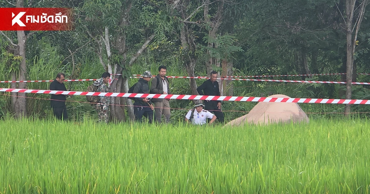 สลด! ช้างป่าภูหลวง ล้มตายกลางนาข้าว ปลายงวงมีลวดไฟฟ้าติดอยู่