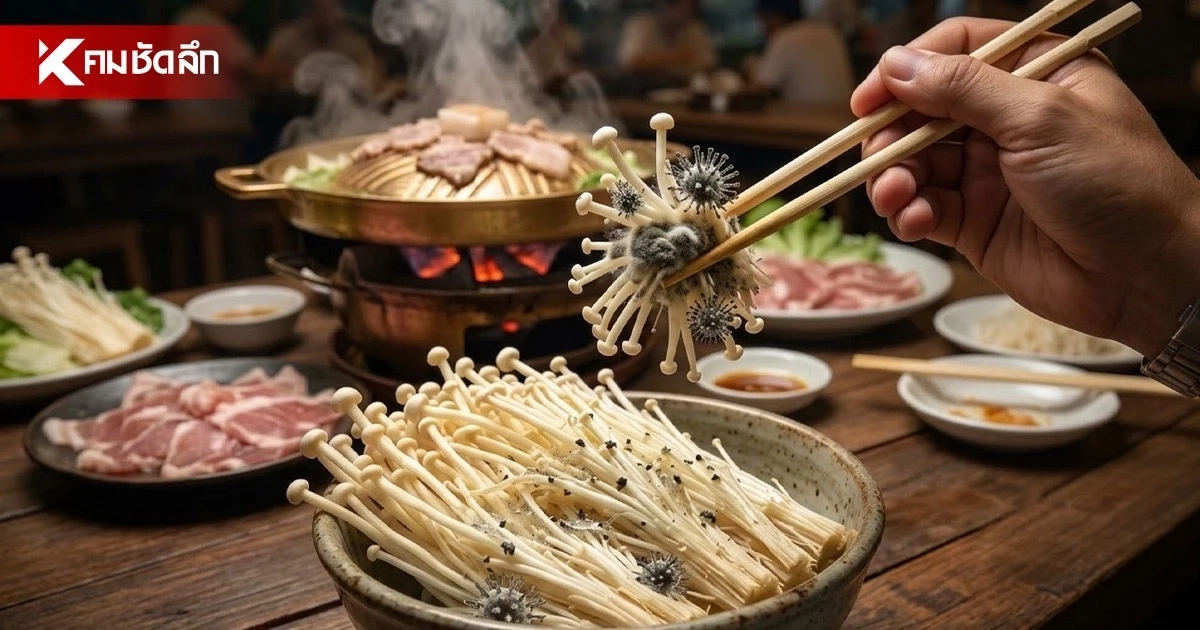 เตือนสายชาบู-หมูกระทะ! รู้จัก "เชื้อลิสทีเรีย" ในเห็ดเข็มทอง เตือนสายชาบู-หมูกระทะ! รู้จัก "เชื้อลิสทีเรีย" ในเห็ดเข็มทอง