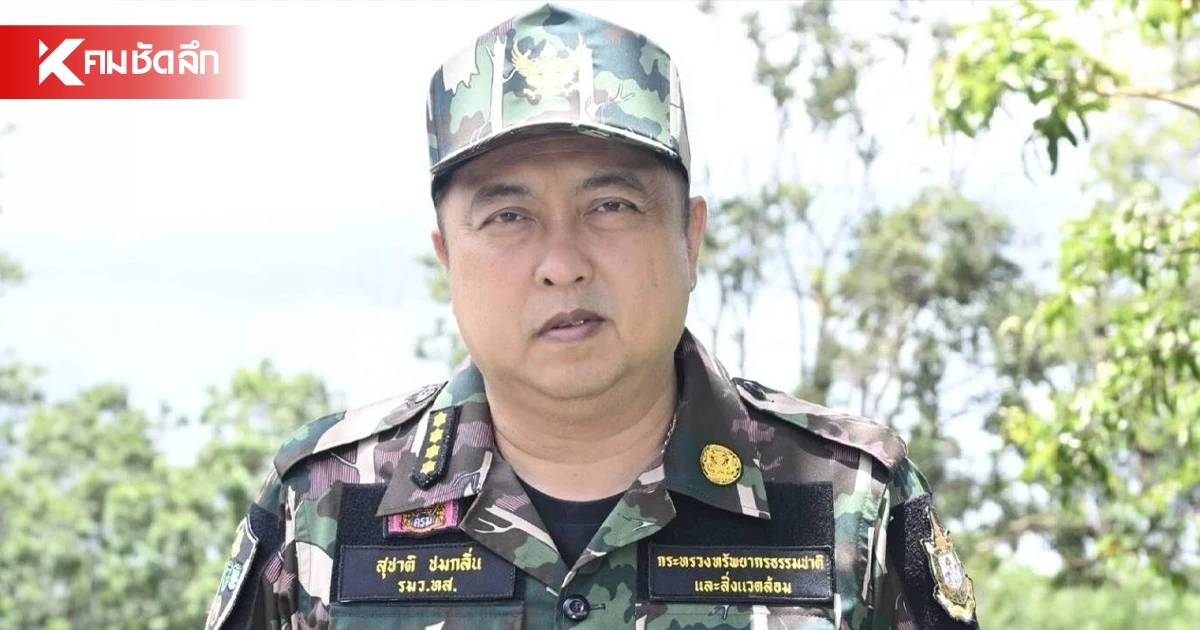 "สุชาติ" เคลียร์ชัด! ปมที่ดินสามี "บุ๋ม ปนัดดา" ไม่เกี่ยวกับกรมป่าไม้