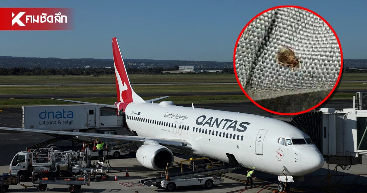 Qantas ยกเลิกเที่ยวบิน! หลังผู้โดยสารร้องถูก “ตัวเรือด” กัดบนชั้นประหยัด